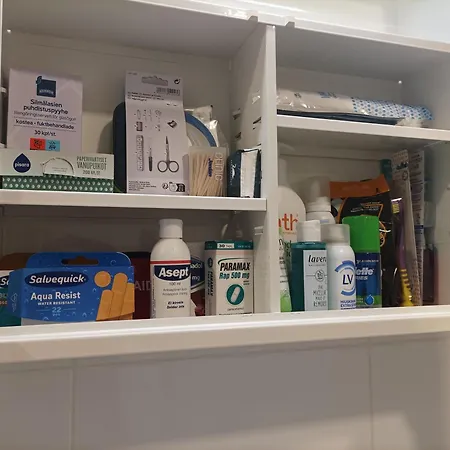 Lejlighed Huippukaksio Parvekkeella Linnan Laehellae Savonlinna