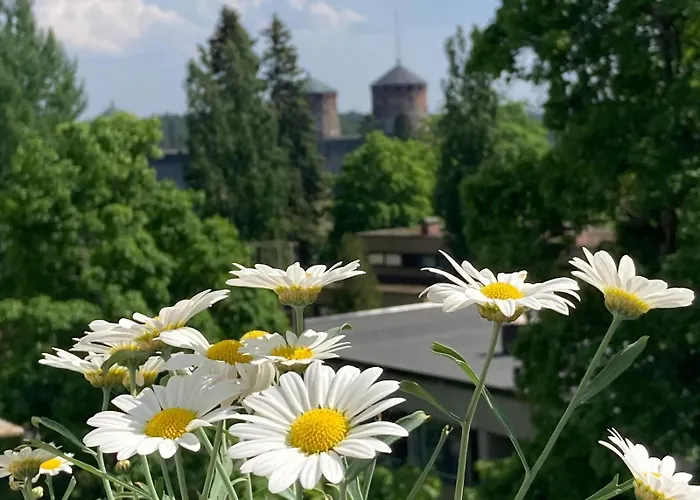 Apartament Huippukaksio Parvekkeella Linnan Laehellae Savonlinna